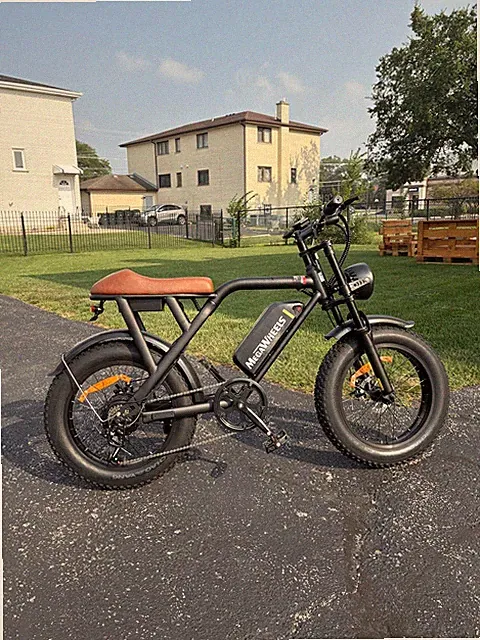 20" FAT TIRES ADULT ELECTRIC BIKE 1500W 33MPH 48V 15.6AH MOUNTAIN EBIKE OFF-ROAD