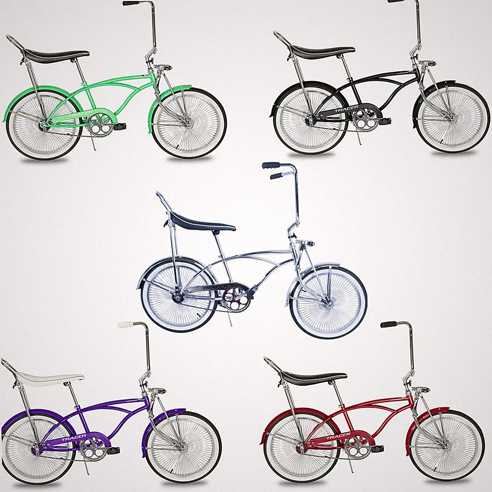 20 inch Lowrider Bike Classic Style Cruiser Bicycle 1 Speed Coaster Brake 140H