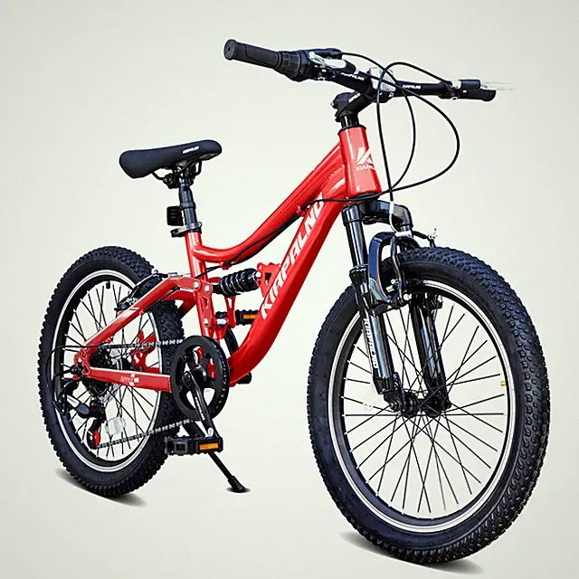 20 Inch Mountain Bike 7-Speed Dual Suspension Steel Frame Adult Bicycle